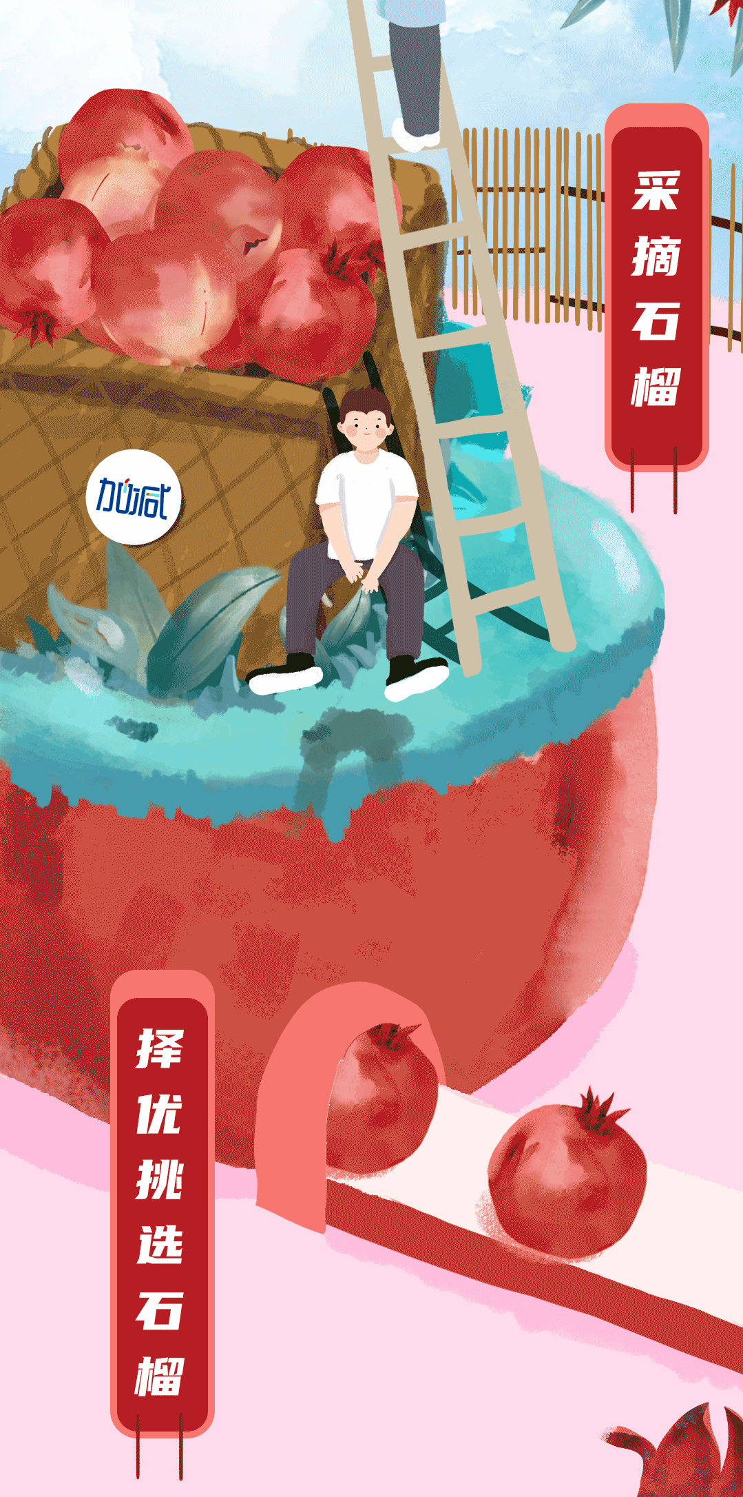 350vip(中国)集团茶饮石榴新品